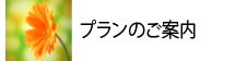 プランのご案内